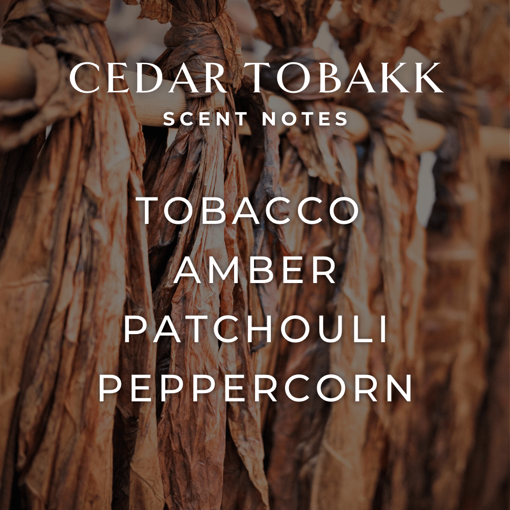 Cedar Tobakk Diffuser Oil - FJORD AND FABLE