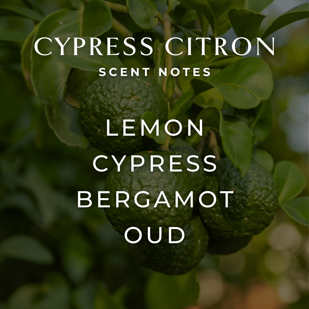 Cypress Citron Candle - FJORD AND FABLE