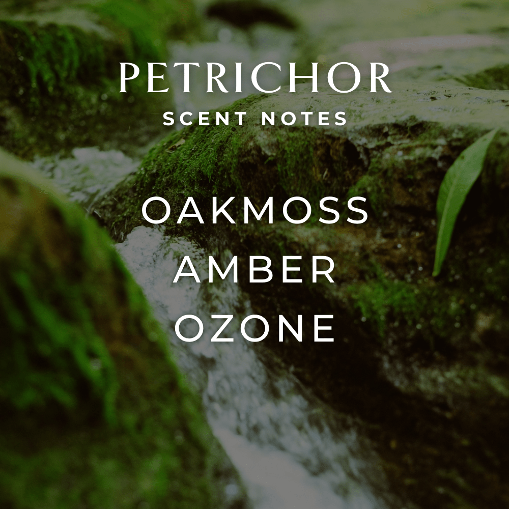 Petrichor Reed Diffuser - FJORD AND FABLE